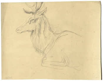 Visualizza l'immagine "FD D 156"